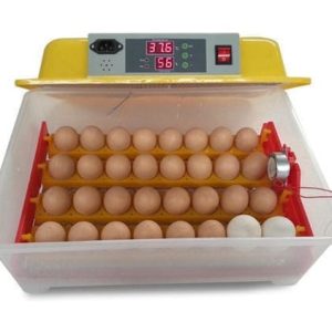 Best  Egg Incubator  56 eggs