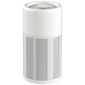 Shop Nasco Air Purifier AP1209-CB